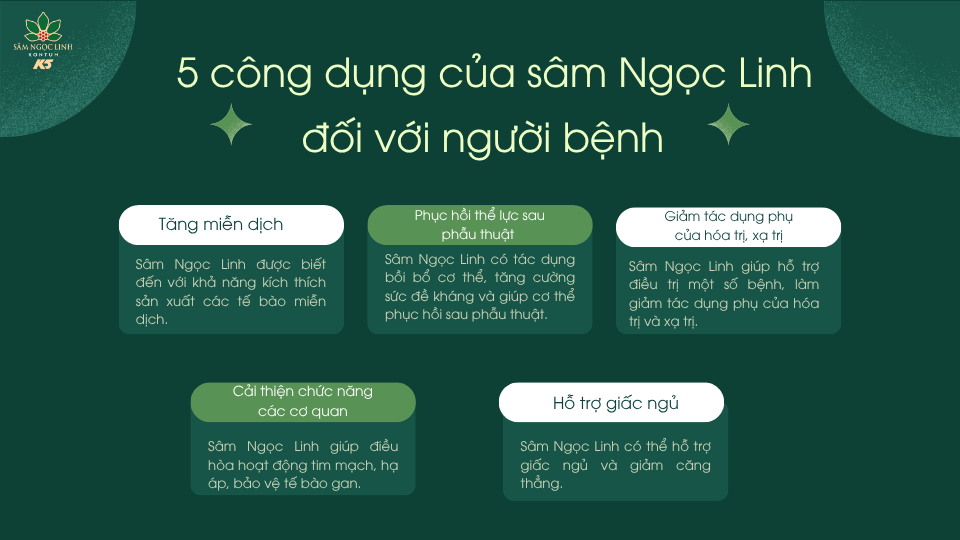 5 công dụng nổi bật của sâm Ngọc Linh đối với người bệnh.