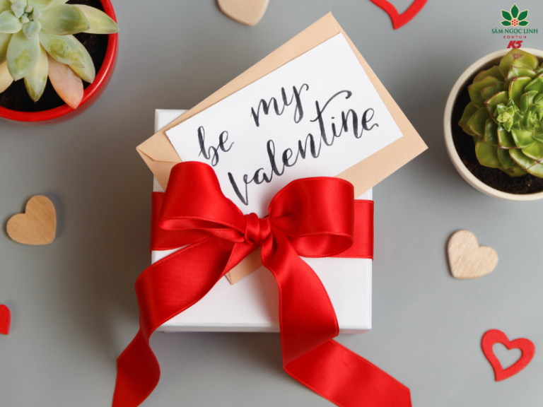  Tổ yến Sâm Ngọc Linh làm món quà Valentine ý nghĩa dành tặng nửa kia.