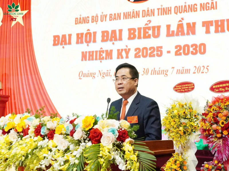 Phó Bí thư tỉnh ủy, Chủ tịch UBND tỉnh, Bí thư Đảng ủy UBND tỉnh Quảng Ngãi Ông Nguyễn Hoàng Giang phát biểu khai mạc đại hội.